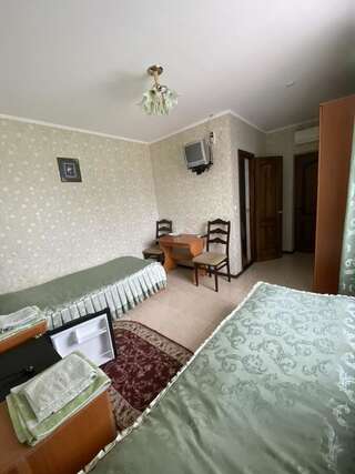 Отель Золотий Лев Zvenyhorodka Двухместный номер с 2 отдельными кроватями и собственной ванной комнатой-2