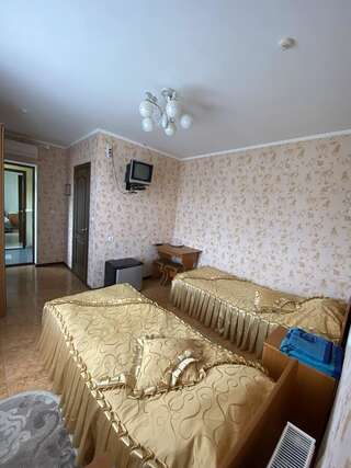 Отель Золотий Лев Zvenyhorodka Двухместный номер с 2 отдельными кроватями и собственной ванной комнатой-2